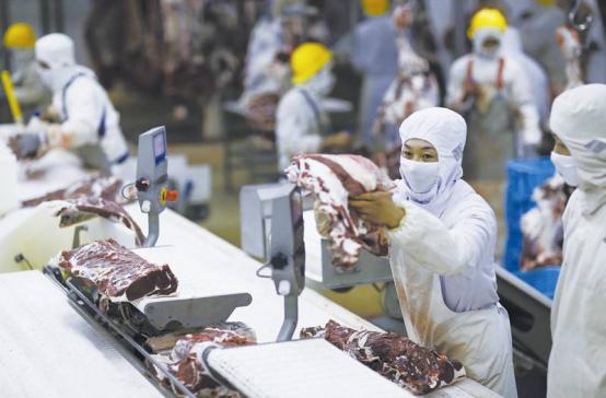 肉类工厂的隐形战场 病毒如何在冷链中蔓延